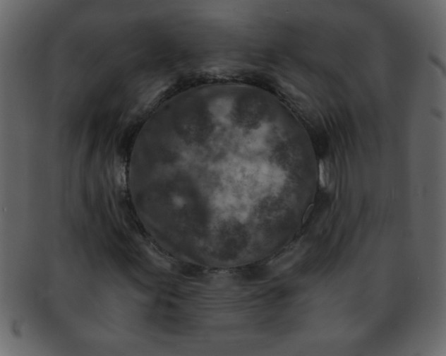 X0000093121155200710171239