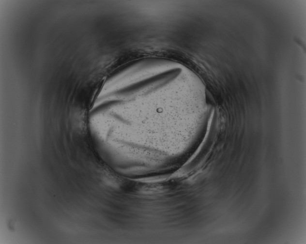 X0000093121156200710171239