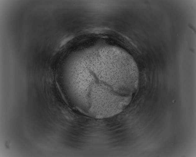 X0000093121158200710171239