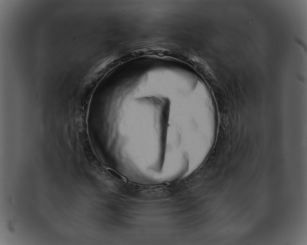 X0000093121159200710171239