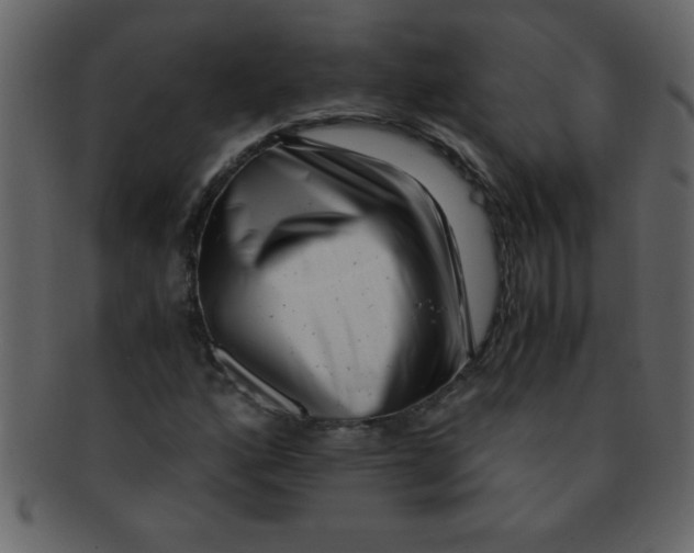 X0000093121160200710171239