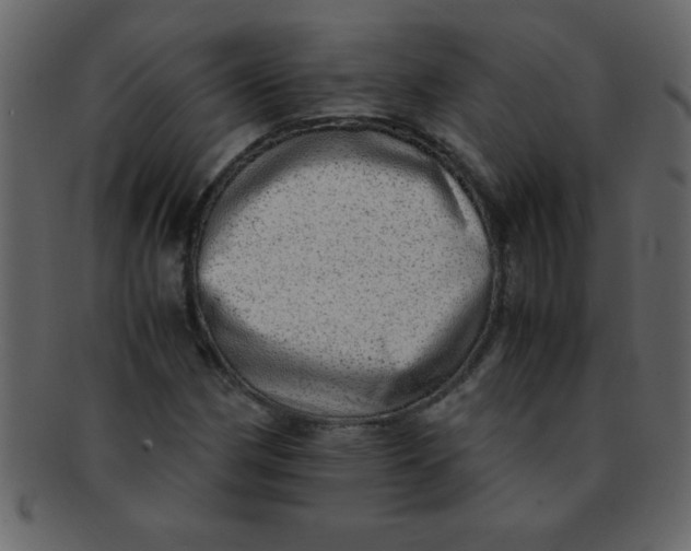 X0000093121162200710171239