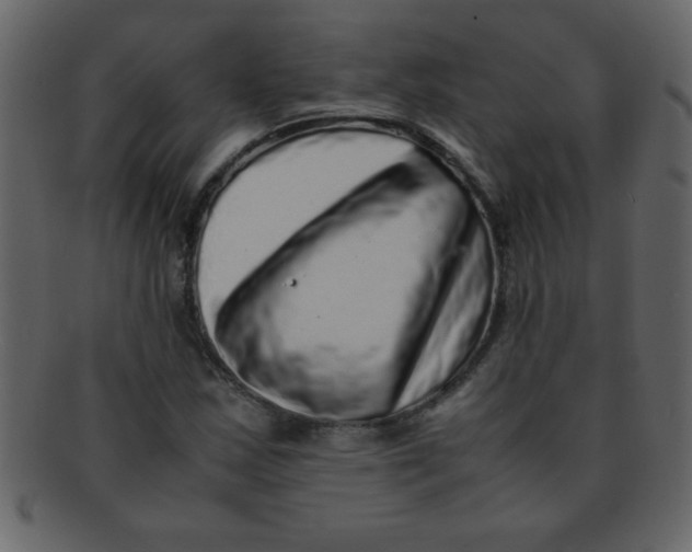 X0000093121163200710171239