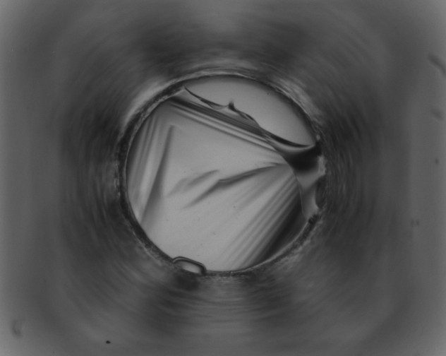 X0000093121164200710171239