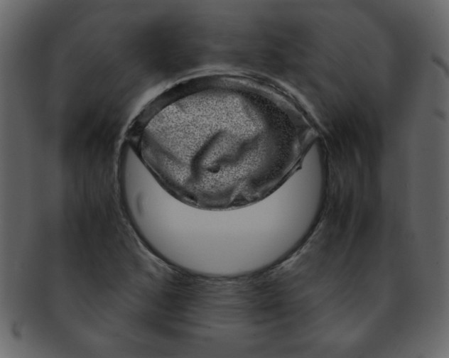 X0000093121168200710171239