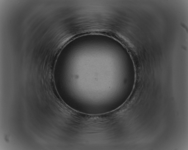 X0000093121169200710171239