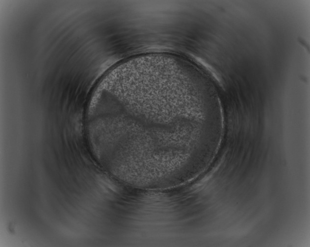 X0000093121170200710171239