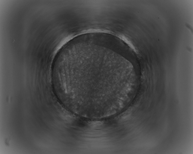 X0000093121173200710171239