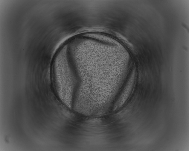 X0000093121174200710171239