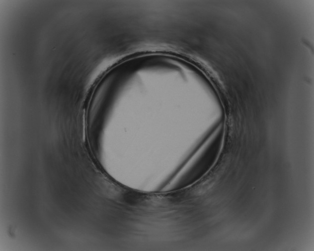 X0000093121175200710171239