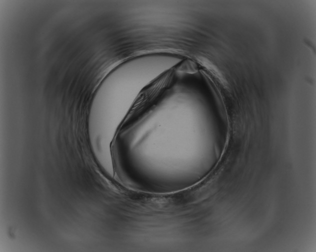 X0000093121177200710171239