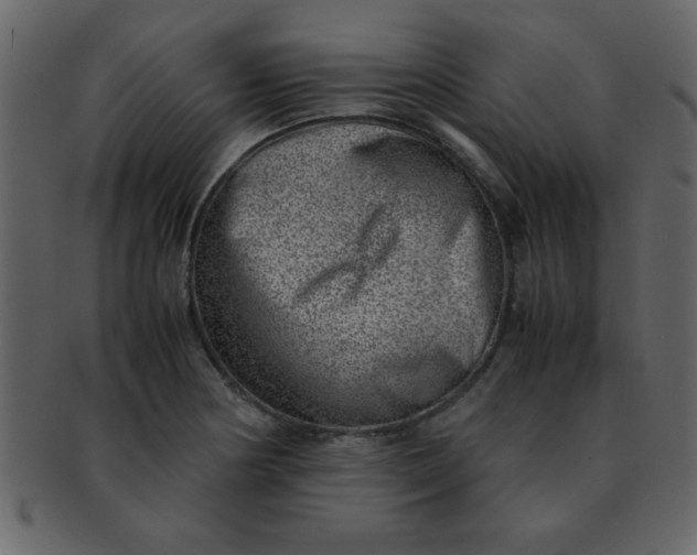 X0000093121178200710171239