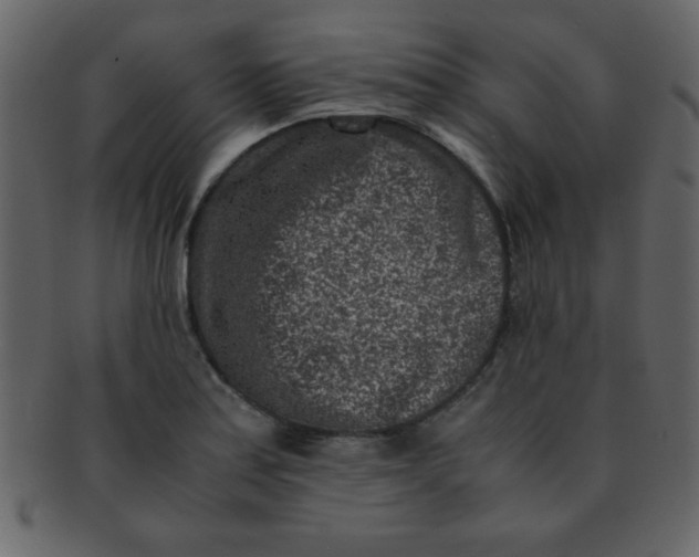 X0000093121179200710171239