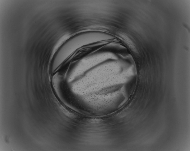 X0000093121180200710171239