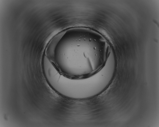 X0000093121181200710171239