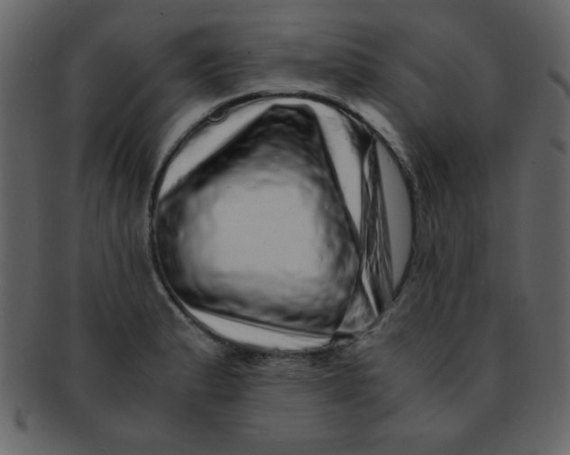 X0000093121183200710171239