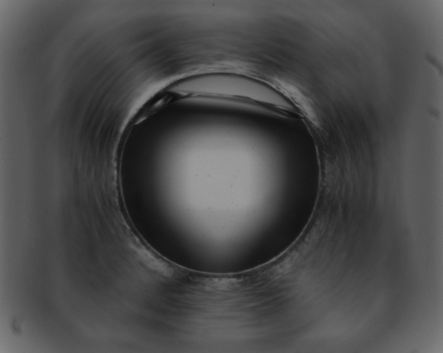 X0000093121184200710171239