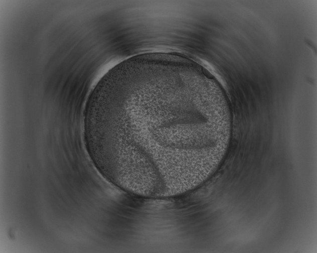 X0000093121187200710171239