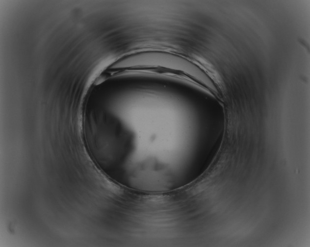 X0000093121188200710171239