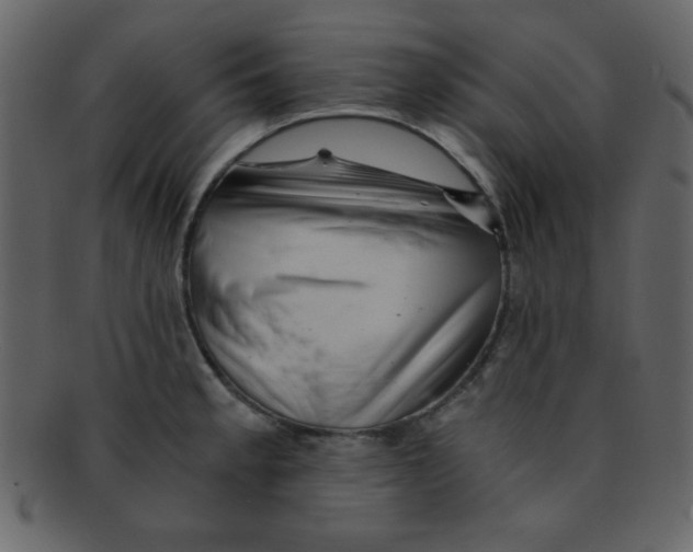 X0000093121189200710171239