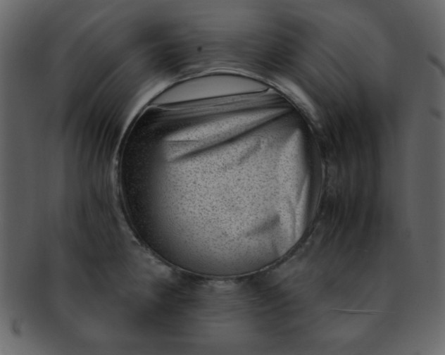 X0000093121190200710171239