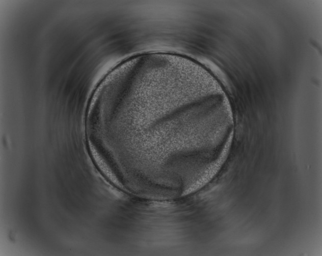 X0000093121191200710171239