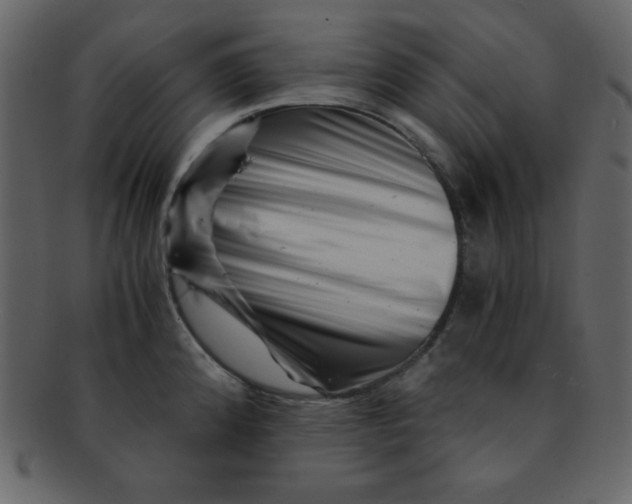 X0000093121192200710171239