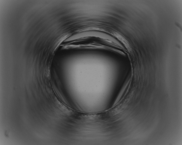 X0000093121193200710171239