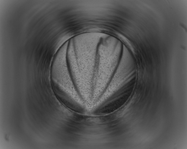 X0000093121194200710171239