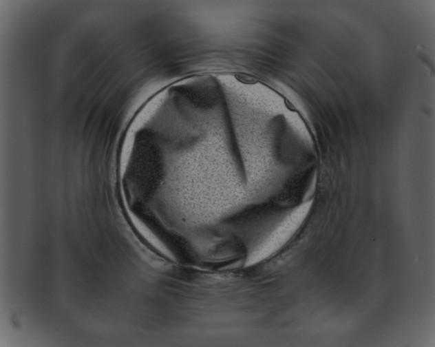 X0000093121195200710171239