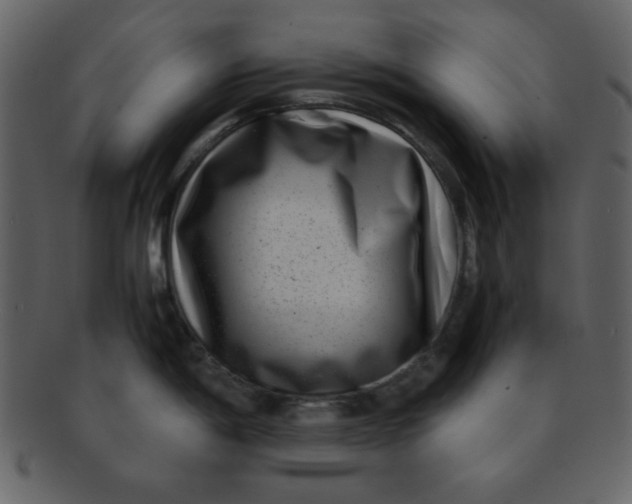 X0000093121198200710171239