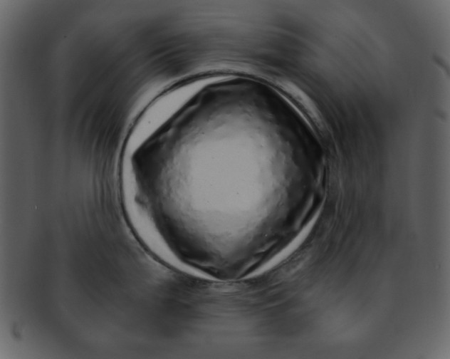 X0000093121199200710171239