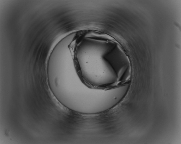 X0000093121200200710171239