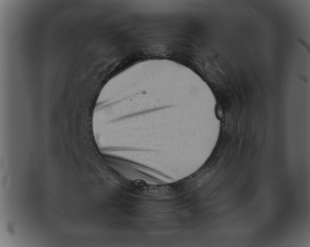 X0000093121201200710171238