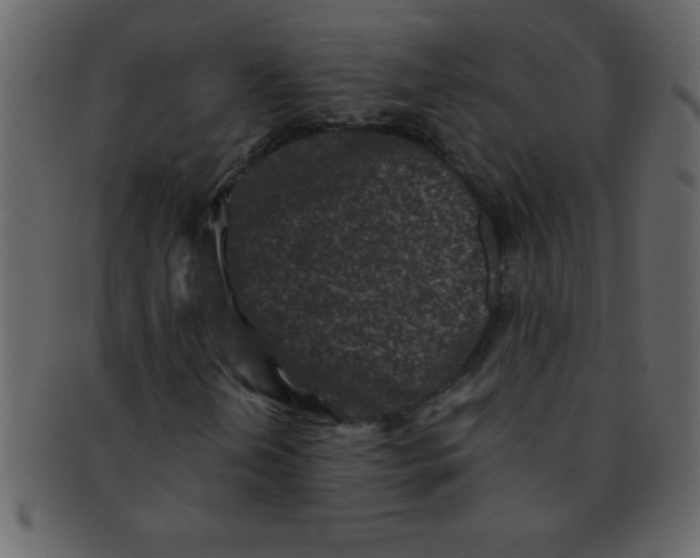 X0000093121202200710171238