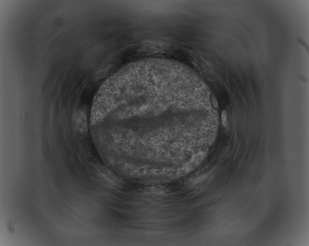 X0000093121203200710171238