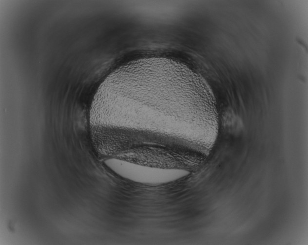 X0000093121204200710171238