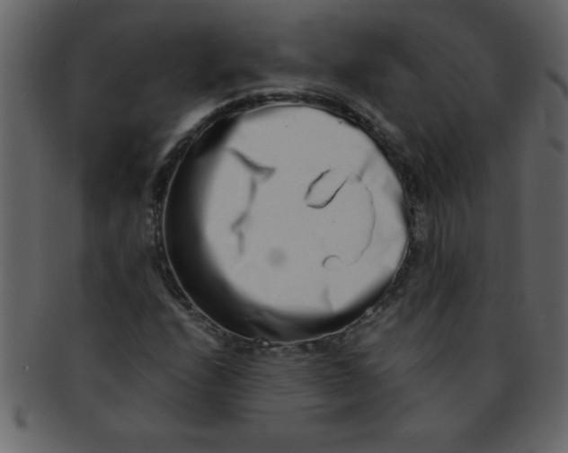 X0000093121208200710171238