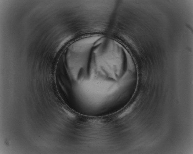 X0000093121210200710171238