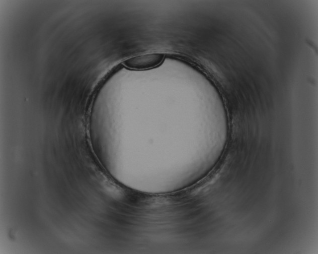 X0000093121212200710171238