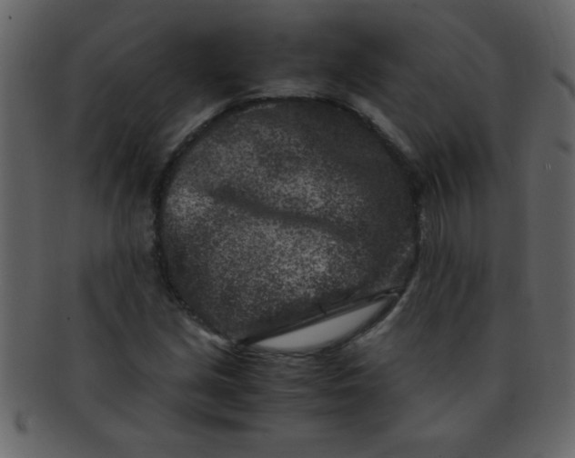 X0000093121213200710171238