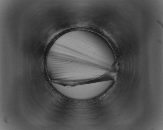 X0000093121214200710171238