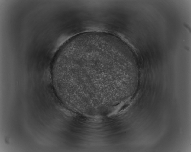 X0000093121215200710171238