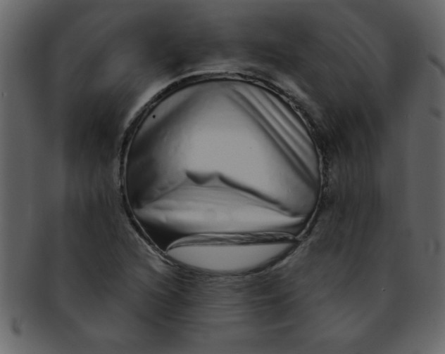 X0000093121216200710171238