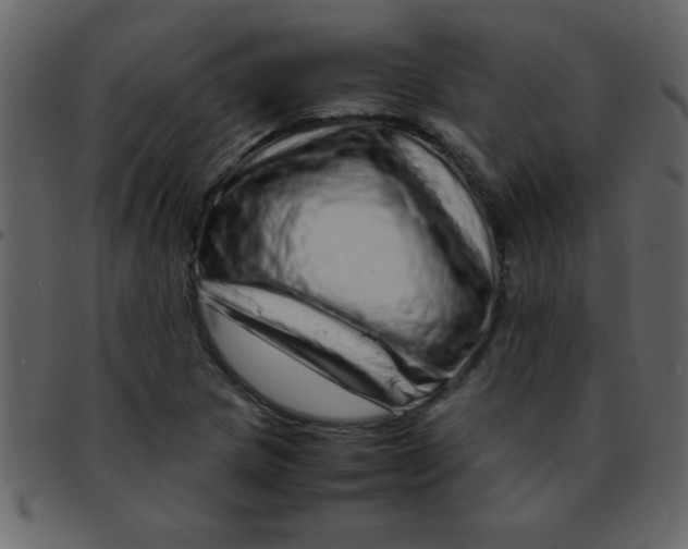 X0000093121217200710171238