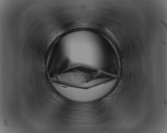 X0000093121218200710171238