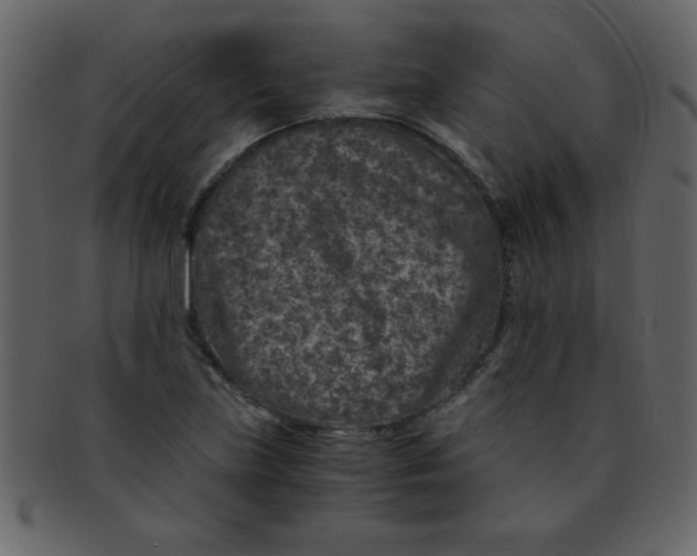 X0000093121219200710171238