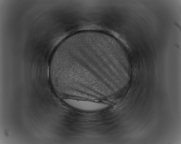 X0000093121221200710171238