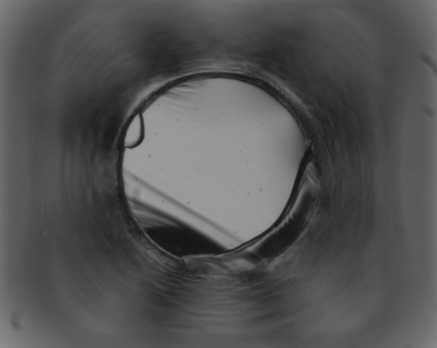 X0000093121222200710171238