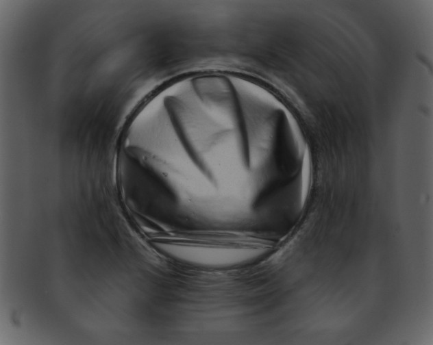 X0000093121224200710171238